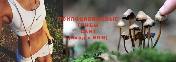 MDMA Беломорск