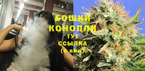 mdpv Белокуриха